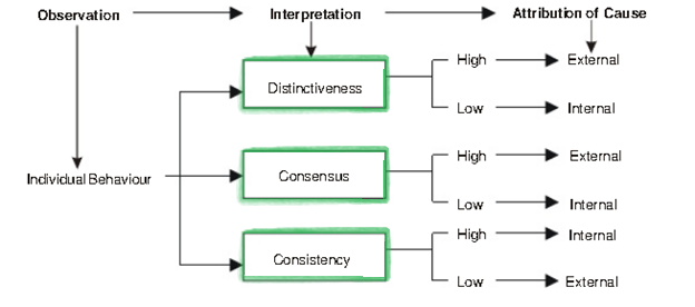 The Individual Processes Perception Organisational Behaviour The