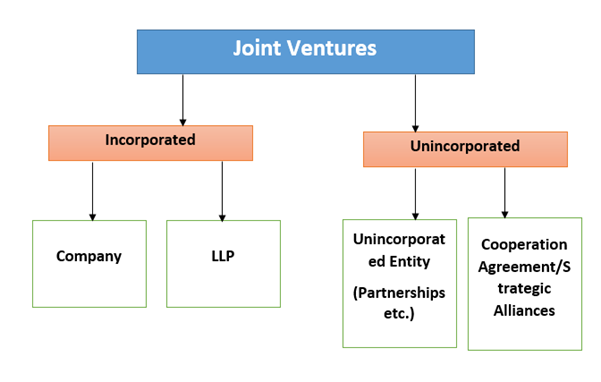 Joint Venture