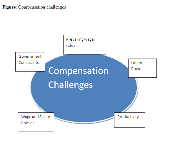 Compensation Management and Benefits, Compensation Management Notes 