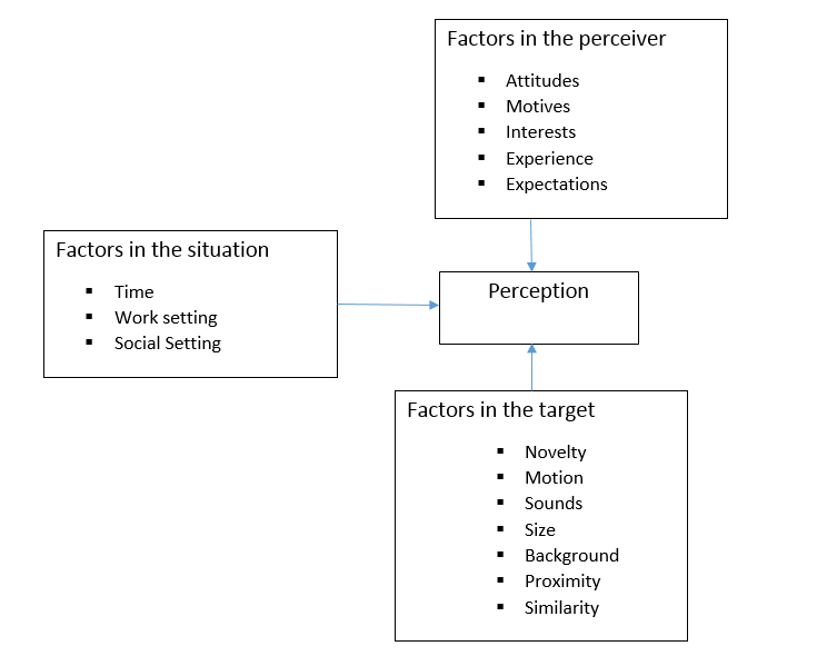 Factor influence Perception