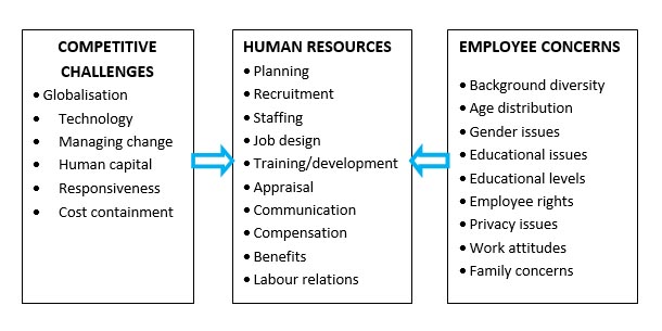 Framework of Human Resource