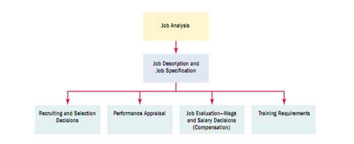 Job Analysis