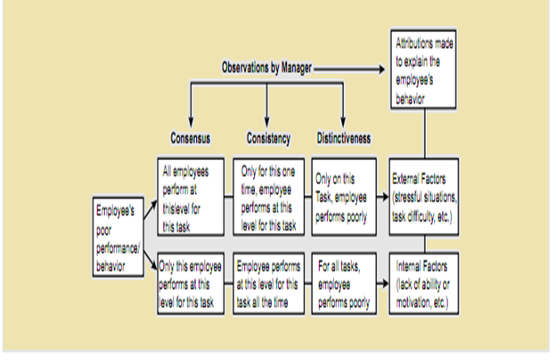 The Individual Processes and Perception Specialization of