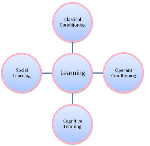 Theoretical Framework of Learning