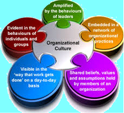 organizational culture theory