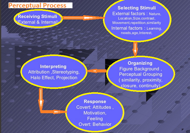 What Are The Mental Processes Involved In Perception